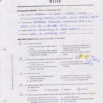 Worksheet Mendel And Meiosis Worksheet Answers Worksheet Fun