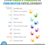 Your Childs Timeline Of Fine Motor Skills Motor Skills Fine Motor