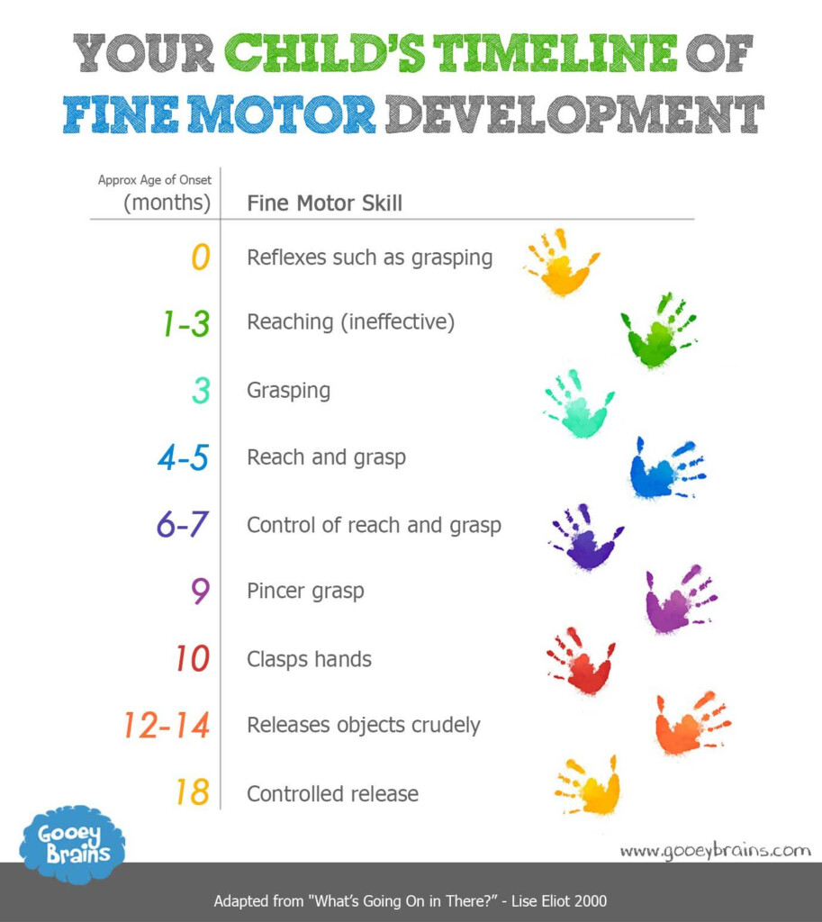 Your Childs Timeline Of Fine Motor Skills Motor Skills Fine Motor 