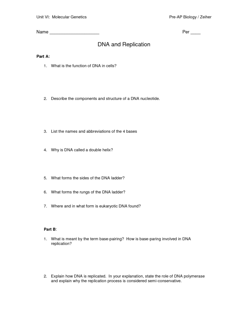 15 12 2 The Structure Of DNA Worksheet Answers Worksheeto