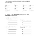 19 The Genetic Code Worksheet Answers Worksheeto