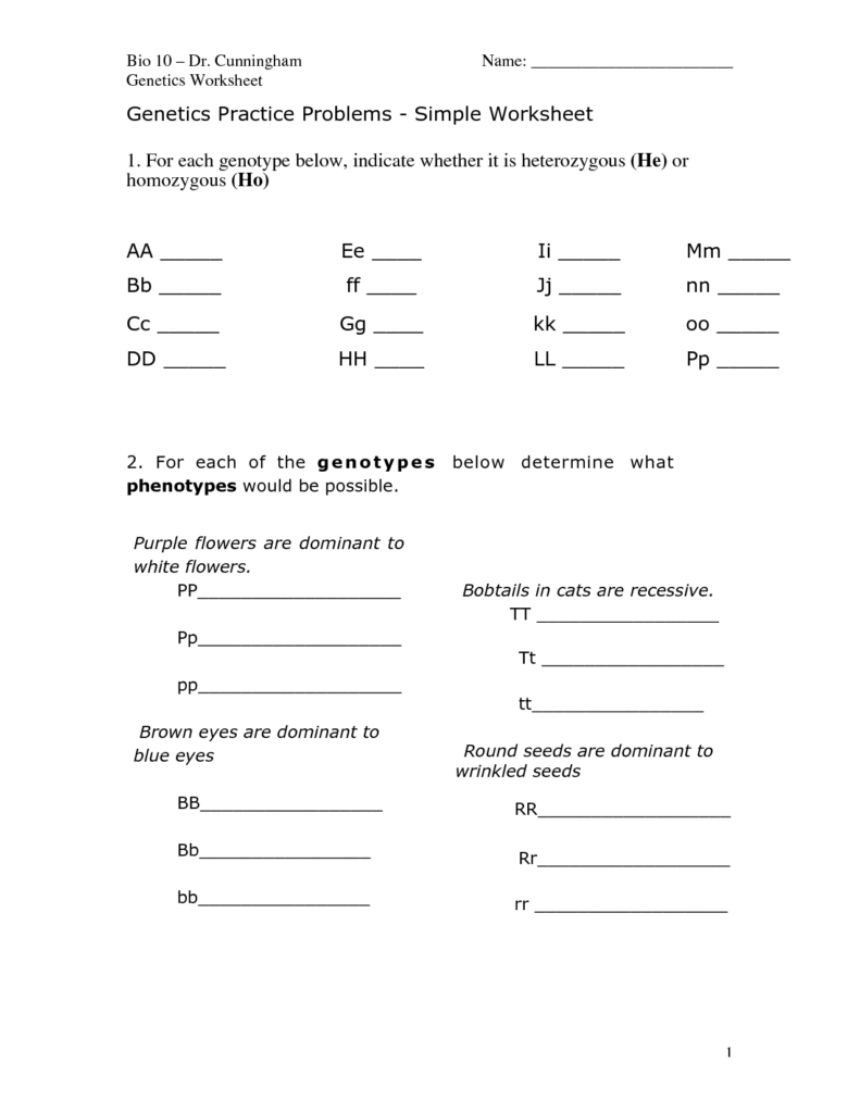 19 The Genetic Code Worksheet Answers Worksheeto