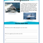 5th Grade Main Idea Worksheet About Dolphins