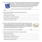 8 7Th Grade Natural Selection Worksheet Pattern Worksheets For