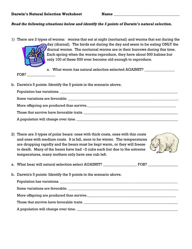 8 7Th Grade Natural Selection Worksheet Pattern Worksheets For 