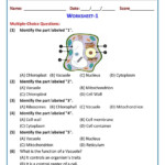 Biology 11 Worksheets Free Download Qstion co