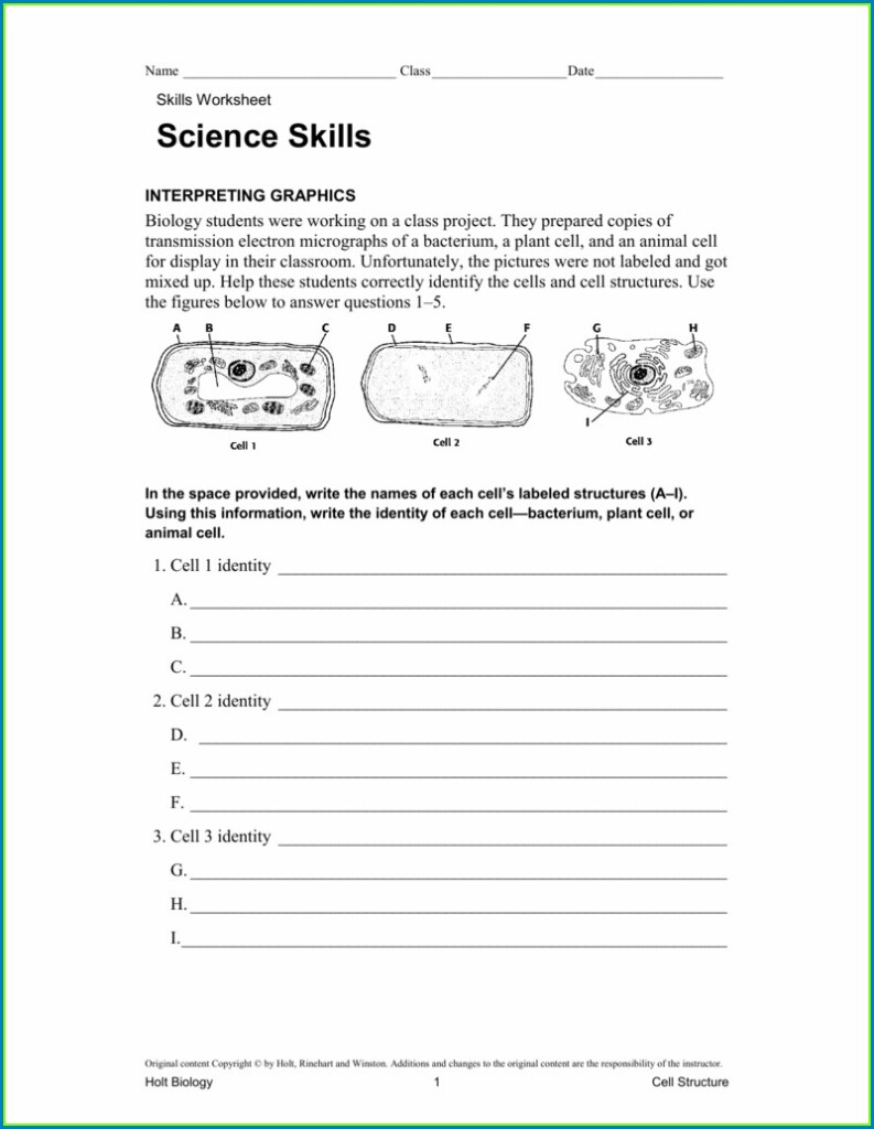 Biology Science Skills Worksheet Answer Key Worksheet Resume Examples