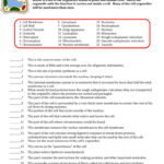 Cell Membrane Structure And Function Worksheet Answer Key Function