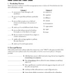 Cells And Their Environment Worksheets Answers