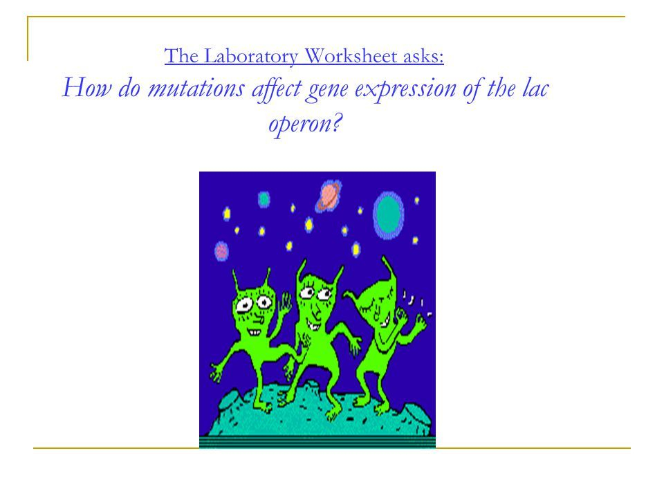 Control Of Gene Expression In Prokaryotes Worksheet Answers