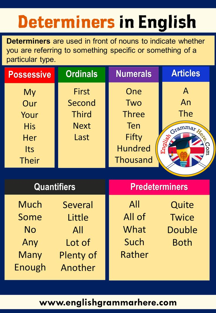 Determiners And Examples In English English Grammar Here In 2021