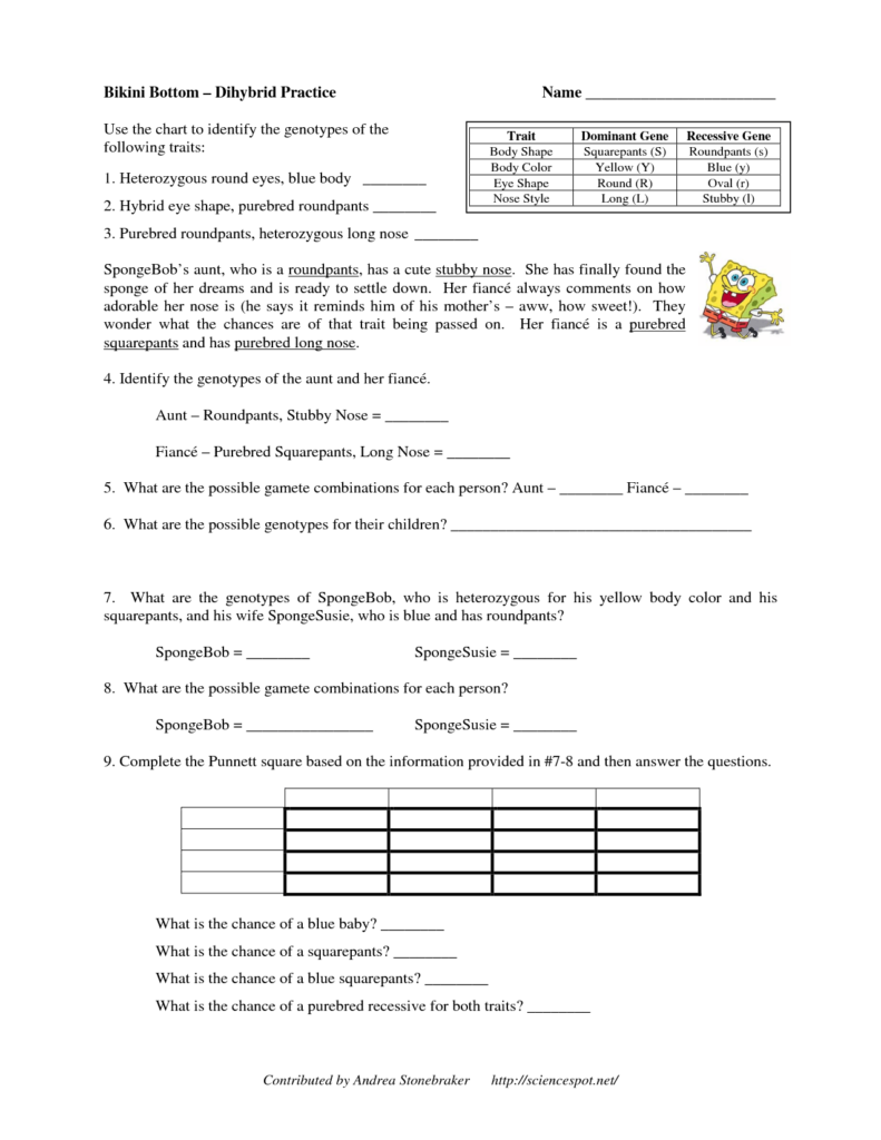 Dihybrid Crosses Answers Dihybrid Crosses Practice Worksheet 