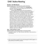 Holt Environmental Science Skills Worksheet Active Reading Answer Key