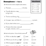 Homophones Grade 2 Vocabulary Printable Skills Sheets