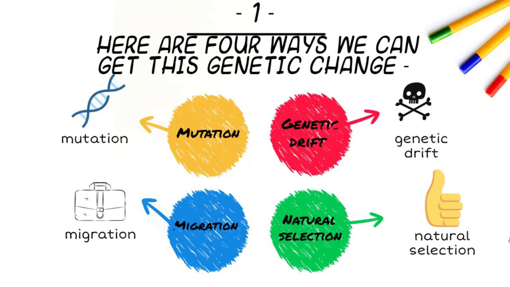 Mechanisms Of Evolution Worksheet