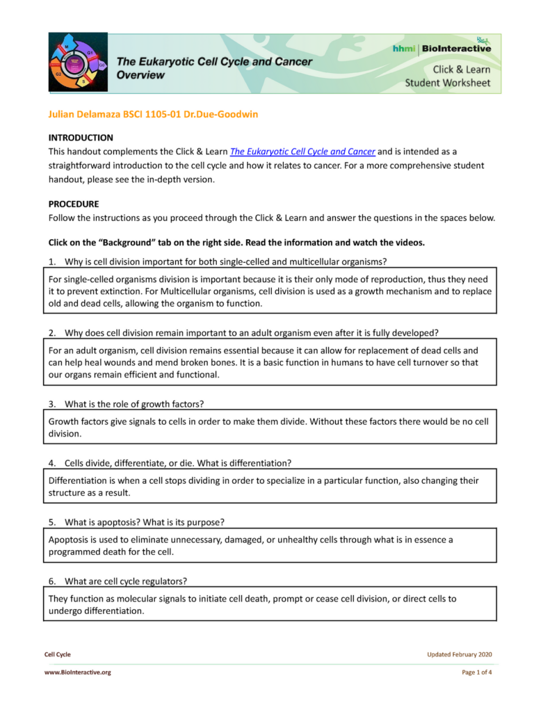 Mitosis Virtual Lab The Cell Cycle And Cancer Worksheet Answers 