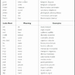 Root Words Worksheet 5th Grade Latin Worksheets