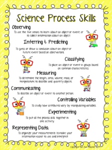 Science Process Skills Worksheet Pdf Worksheet - SkillsWorksheets.com