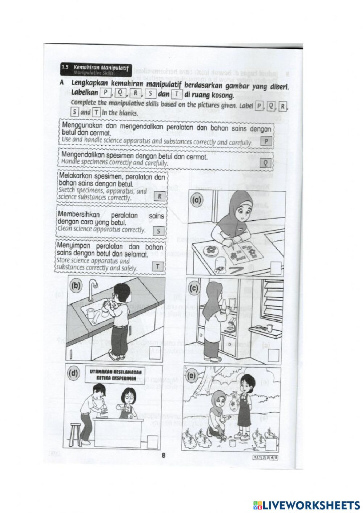 Science Skills Worksheet Science Process Skills 1 Year 3 Worksheet 