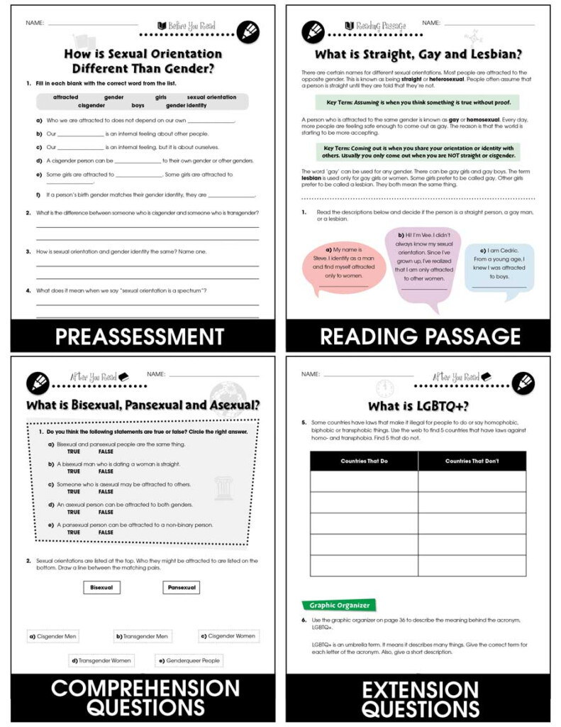 Sexual Orientation Grades 6 To Adult Print Book Lesson Plan CCP 