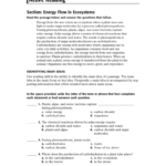 Skills Worksheet Active Reading Answers Worksheet List