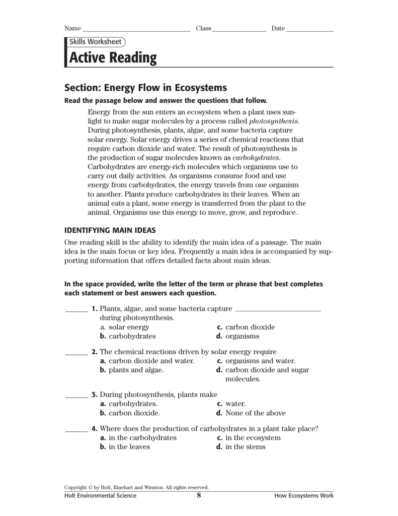 Skills Worksheet Active Reading Answers Worksheet List