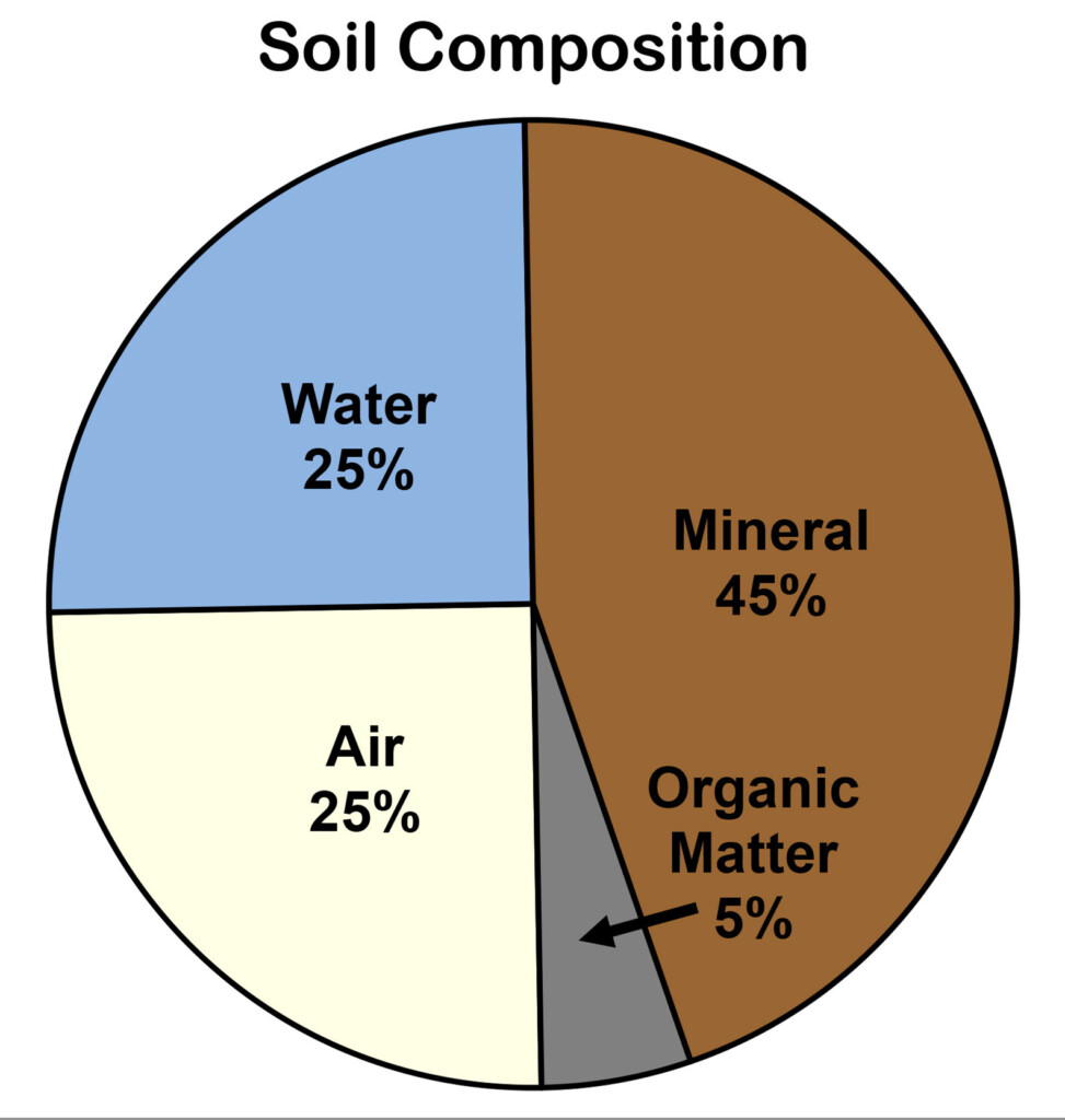 Soil Formation Worksheet Pdf Worksheet pdf Soil Formation Evaluation Directions Fill In The 