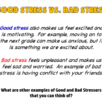 Stress Management ClassPak