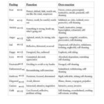 The Function Of Feelings Counseling Resources Therapy Worksheets