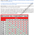 The Human Blood Group Human Biology Edexcel