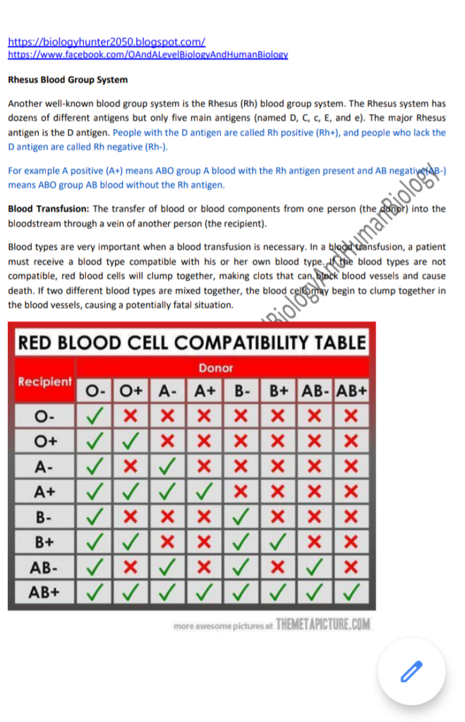 The Human Blood Group Human Biology Edexcel 