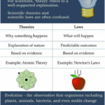 Theory Vs Law Worksheet