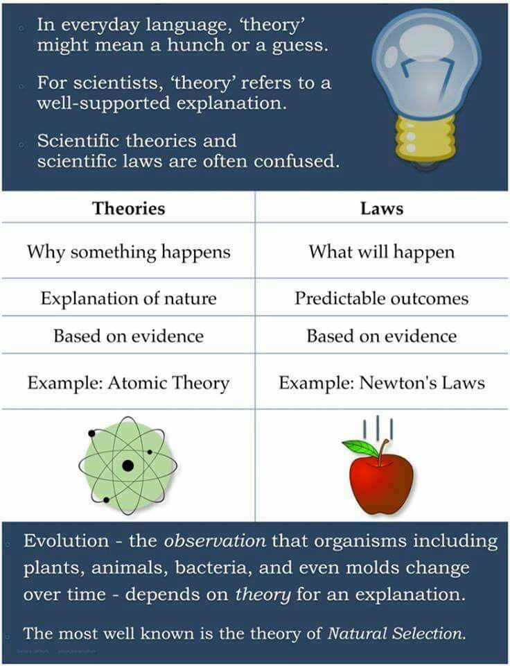 Theory Vs Law Worksheet