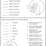 Third Grade Scientific Method Worksheet Pdf For 3rd Grade