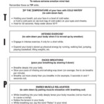 TIP Skill DBT Distress Tolerance Dialectical Behavior Therapy Dbt