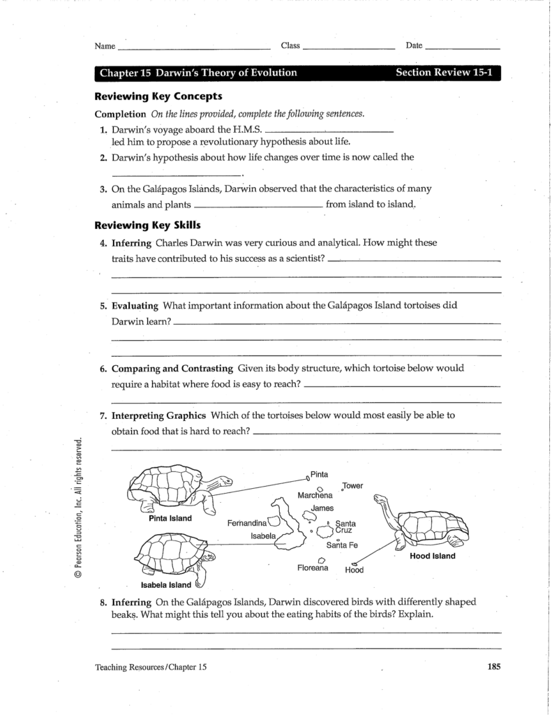 12 Darwin s Natural Selection Worksheet Key Worksheeto