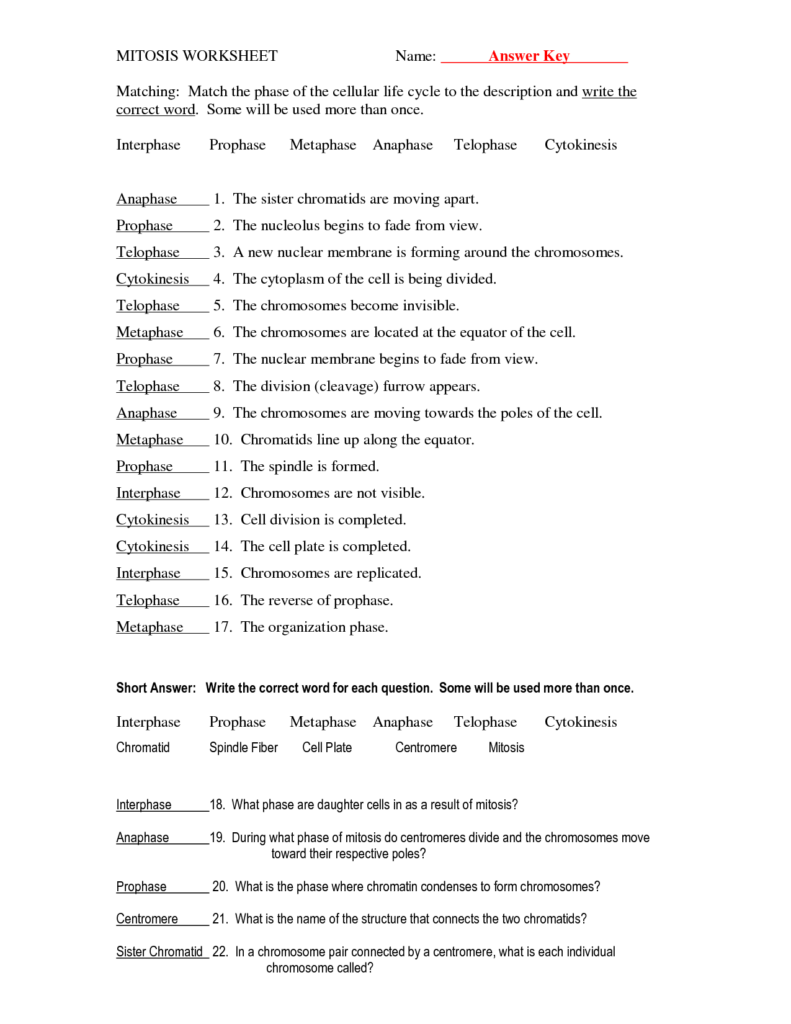 18 Best Images Of Biology Cells Worksheets Answer Keys Worksheeto