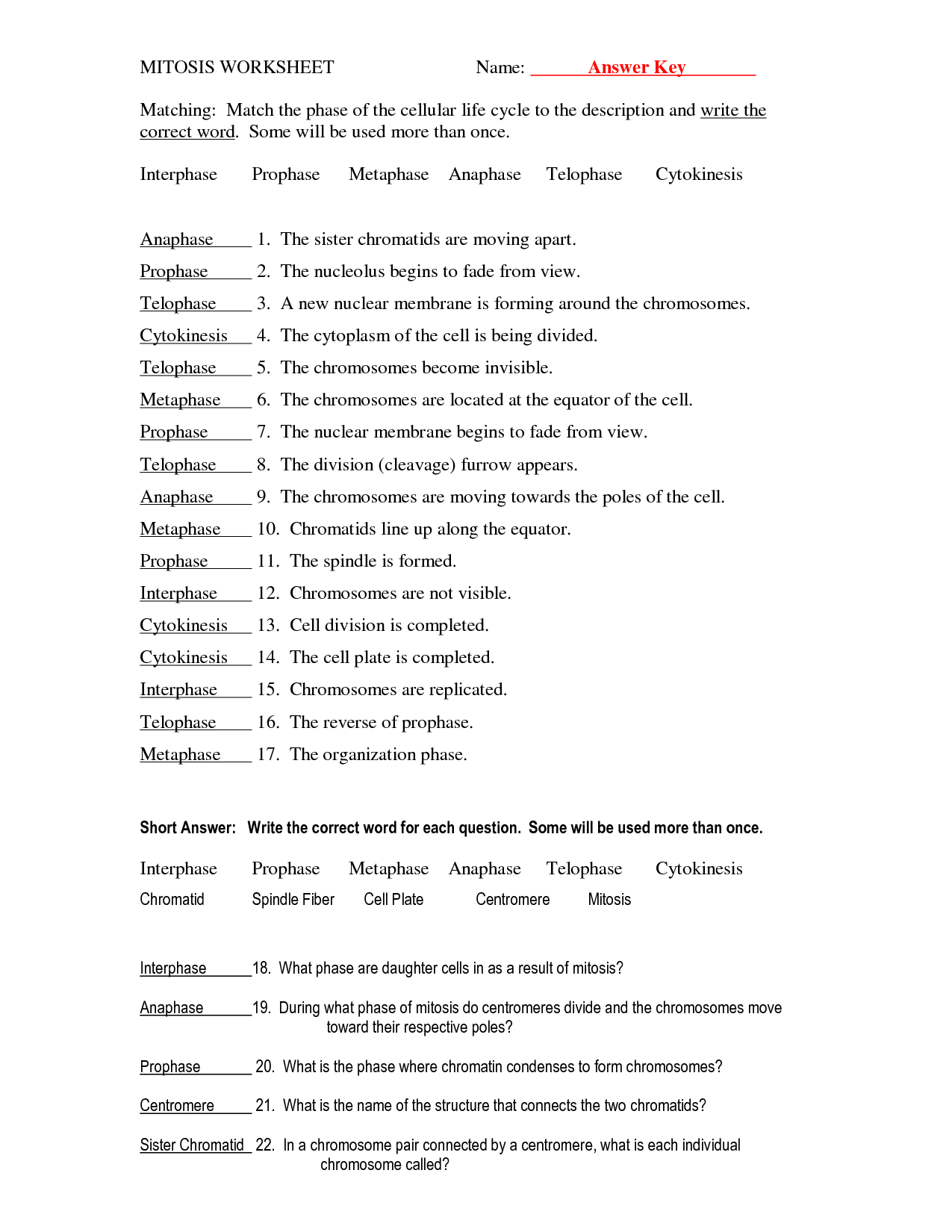 18 Best Images Of Biology Cells Worksheets Answer Keys Worksheeto