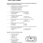 29 Cell Structure And Function Skills Worksheet Support Worksheet