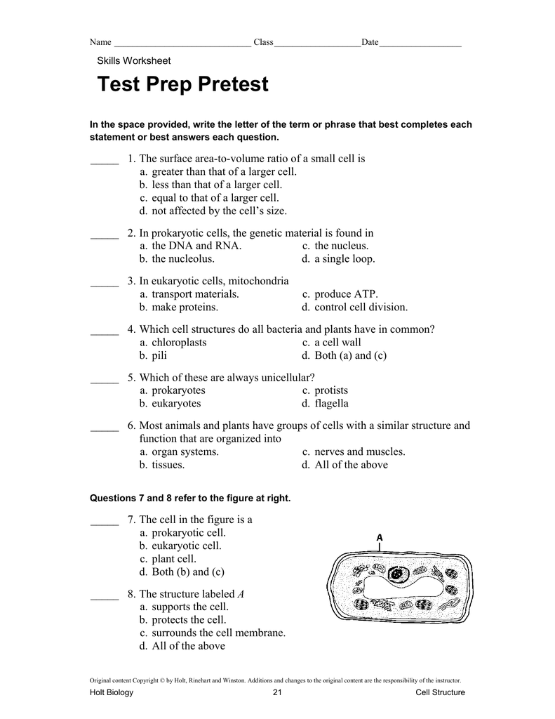 29 Cell Structure And Function Skills Worksheet Support Worksheet