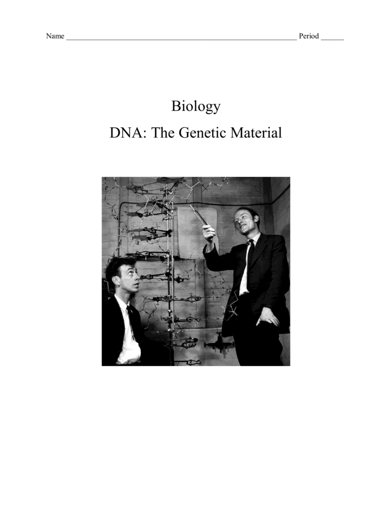 42 Dna The Genetic Material Worksheet Answers Worksheet Works