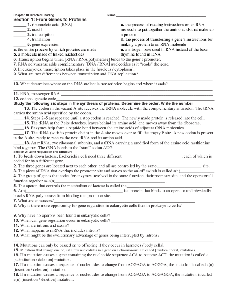 7 Holt Science And Technology Worksheet Answers Worksheeto