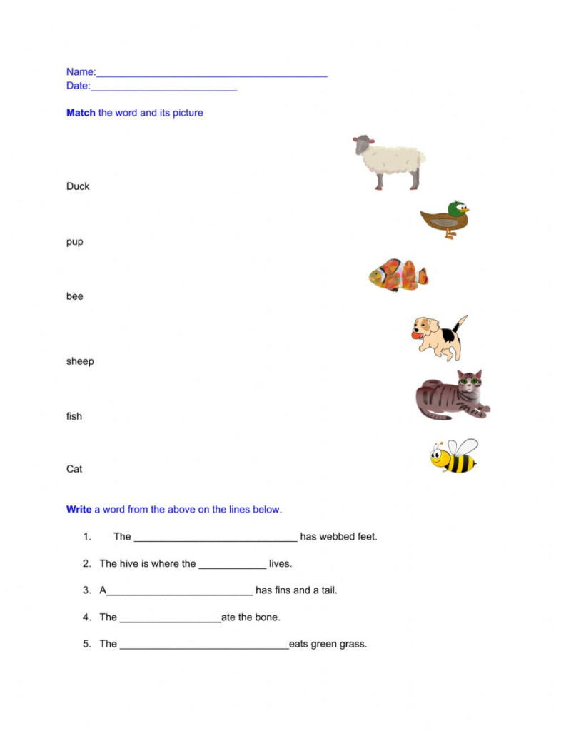 8 Best Images Of Kindergarten Sentence Worksheets Sentence Worksheets 
