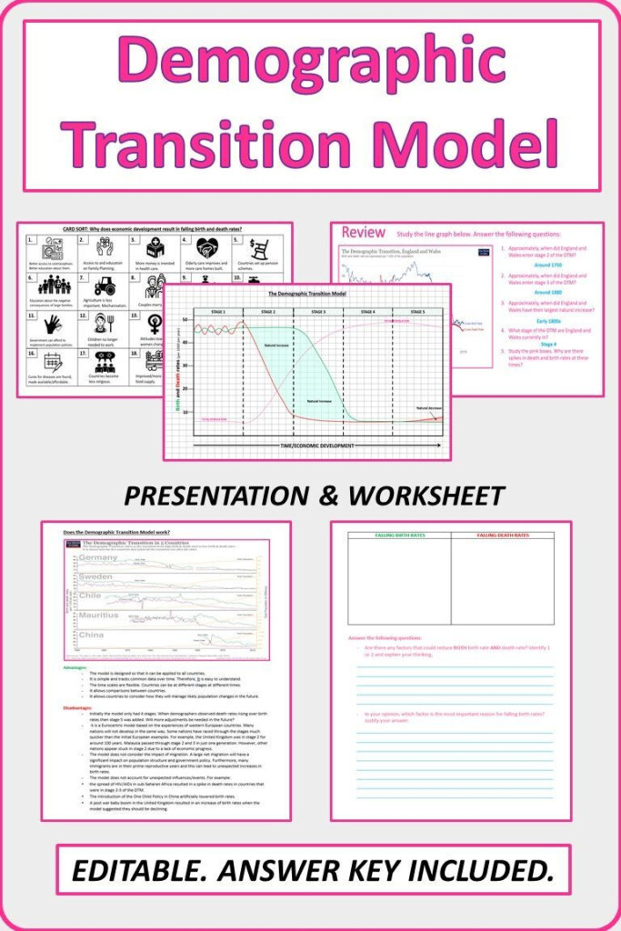 Blank Demographic Transition Model Worksheet Examples And Zac Sheet