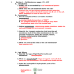 Cells And Their Environment Worksheet Free Download Gambr co