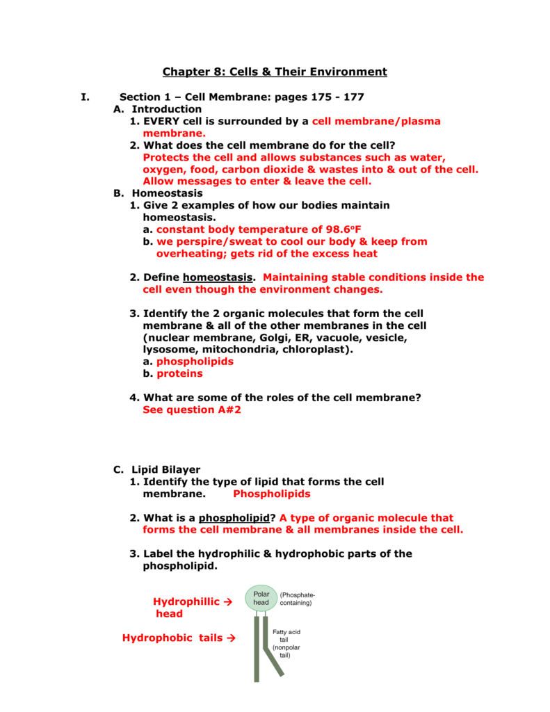  Cells And Their Environment Worksheet Free Download Gambr co