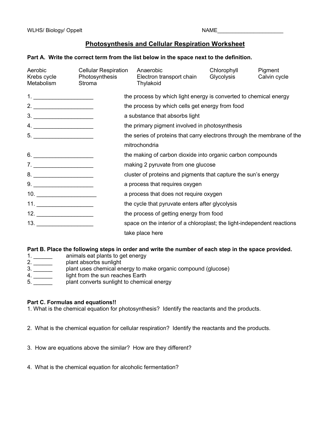 photosynthesis-and-cellular-respiration-worksheet-answers-ivuyteq