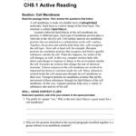CH8 1 Active Reading Section Cell Membrane