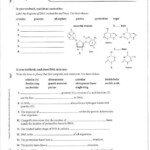 DNA The Genetic Material CHAPTER 12