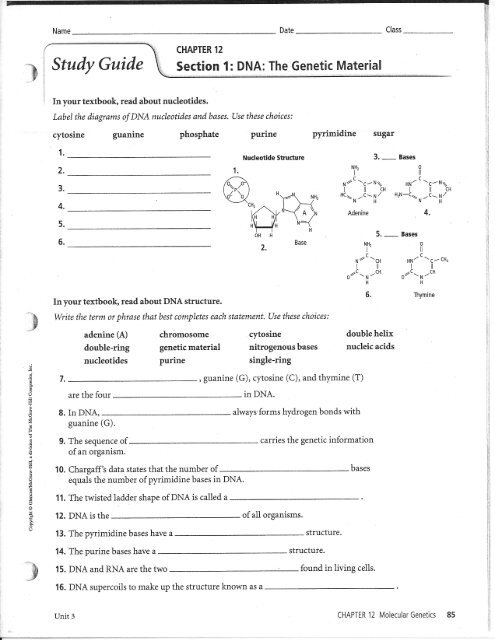 DNA The Genetic Material CHAPTER 12